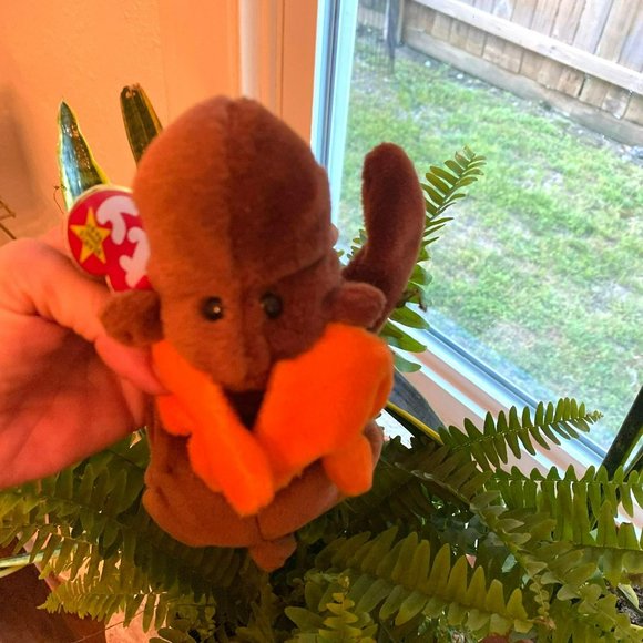 Rare Ty Beanie Baby -  Chocolate the Moose - Style Number #04015 - Picture 8 of 8